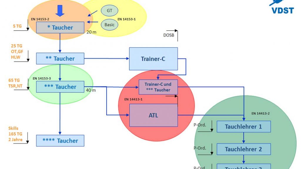 VDST Ausbildungsstufen