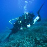 "Faszinierendes Mittelmeer - das sollten Taucher wissen!"